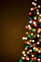 sapin.jpg