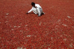 pakistan.jpg