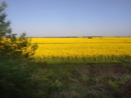 20250425_081519524.JPG