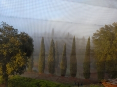 voyage,italie,automne