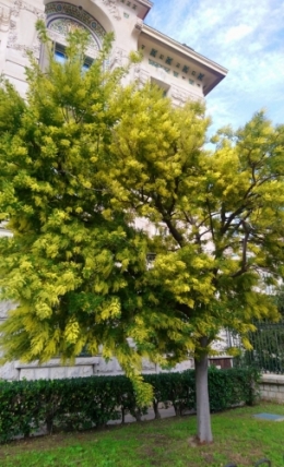 europe,roumanie,etats-unis,décisions