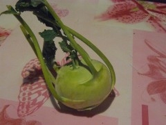 curry,panais,rutabaga,carotte,labné