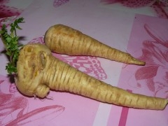 curry,panais,rutabaga,carotte,labné