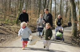 synode sur la famille