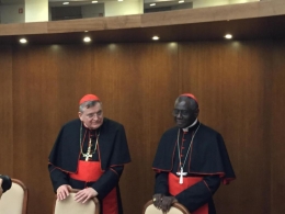 cardinal Burke, cardinal Sarah