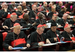 synode sur la famille