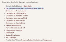 anglais,english,spiritualité,spiritualité chrétienne,pessimisme,négativisme,négativité,dépression,engagement chrétien,chrétiens en politique,blogosphère catholique,fraternité saint-pierre,psychologie thomiste,combat spirituel