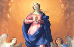 assomption notre-dame