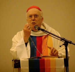 cardinal danneels