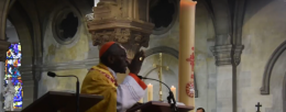 Cardinal Sarah