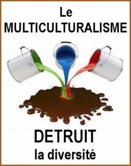 Multiculturalism_2_fr.jpg