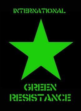 Etoile_verte.IGR.jpg