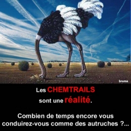 Chemtrails_autruche.2.jpg