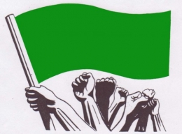 DRAPEAU_VERT.jpg