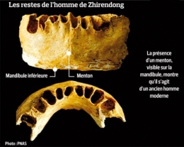 Zhirendong_PNAS.jpg