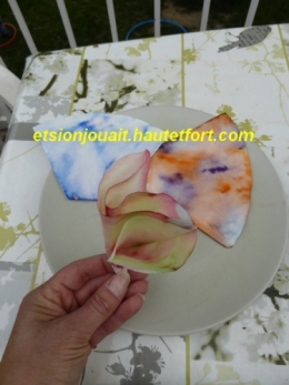fleur filtre10.jpg