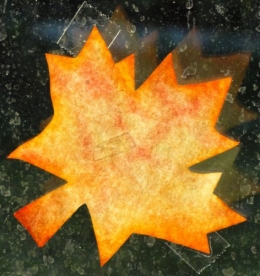 filtre café10.jpg