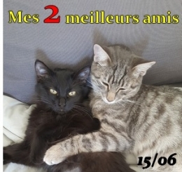 photo indice cryptex.jpg