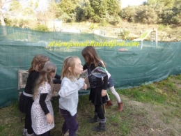 la fête21.jpg