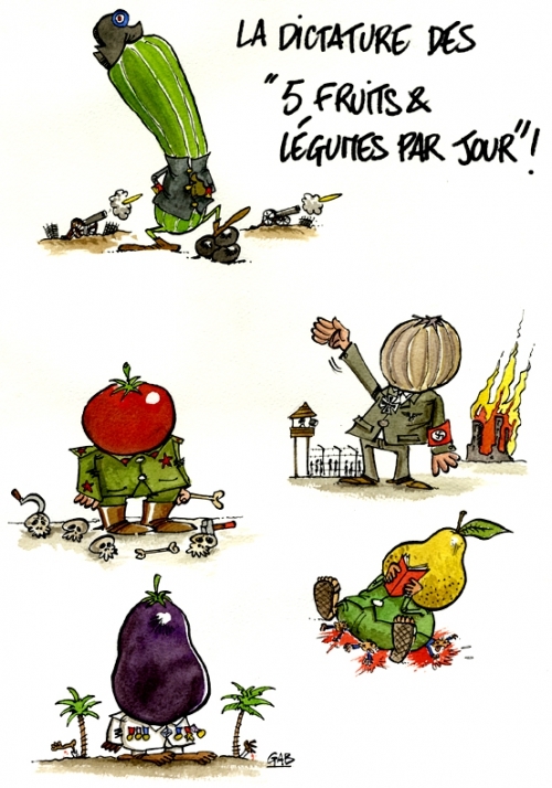 FANZINE ZEBRA BANDEDESSINEE ET CARICATURE