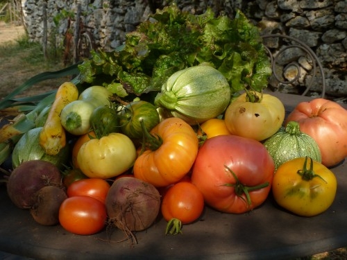 L Gumes Du Jardin Ferme De Cazals Marcilhac Sur C L Chambres Et Tables D H Tes