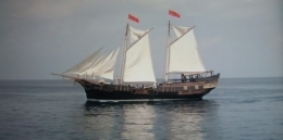 DSCF0816.JPG