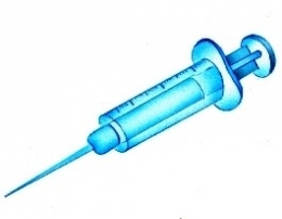 sarkozy,hollande,président,élections,france,français,françaises,express,bizougoud,seringue,dose