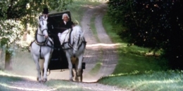 jane,austen