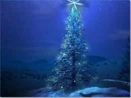 sapin, fond noir, fond d'écran