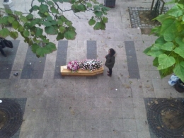 IMG03420-20121107-1249.jpg