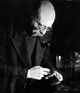 jean Rostand