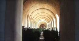 louis,xiv,14,roi,soleil,versailles,france,orangerie