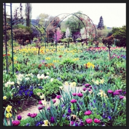 claude monet, giverny, hermann schurig