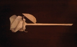 rose en papier.jpg