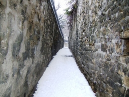 jardin de passy, avenue Marcel Proust