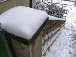 jardin de passy, avenue Marcel Proust