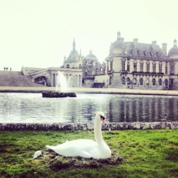 chantilly, hermann schurig