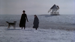 les moissons du ciel,terence malick,richard gere,brooke adams
