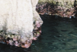 MALTE-Blue grotto
