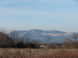 dentelles de Montmirail