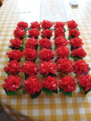 fleurs caro 006.jpg