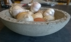 WP_20150804_005.jpg