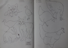 Croquis rapide animaux annick1.jpg
