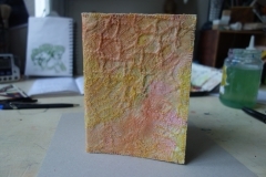 Carnet tyvek 4.JPG