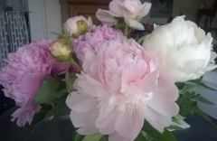 WP_20150517_009.jpg