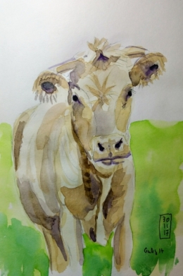 vache blanche.jpg