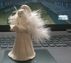 WP_20151127_007.jpg