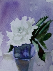 etegami rose 171.jpg