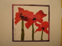 Coquelicots 006.jpg