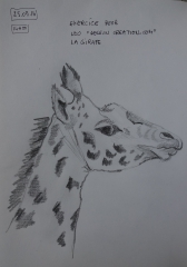 girafe de leo1.jpg